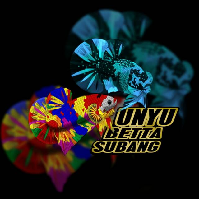 Produk kimeongputrabungsu | Shopee Indonesia