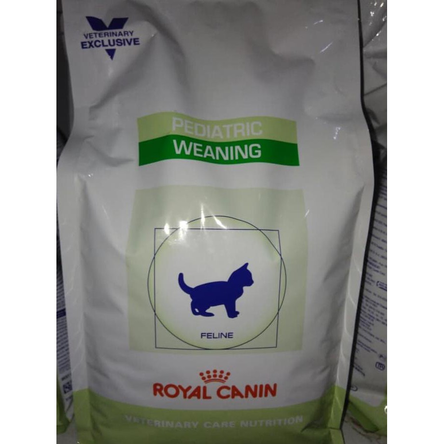 Royal canin 2024 weaning kitten