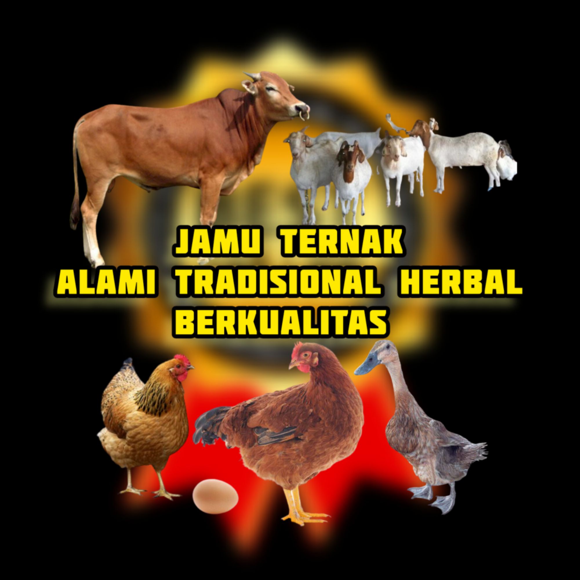 Produk Central Jamu 