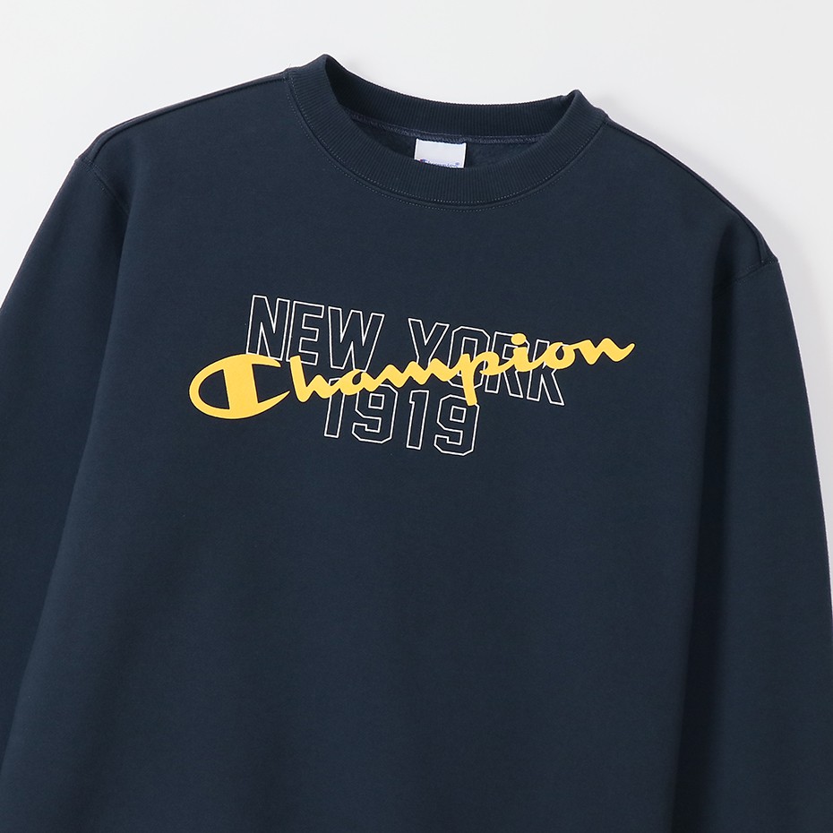 Champion sweater hotsell new york netshoes