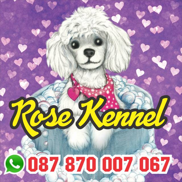 Produk Rose Kennel Shopee Indonesia
