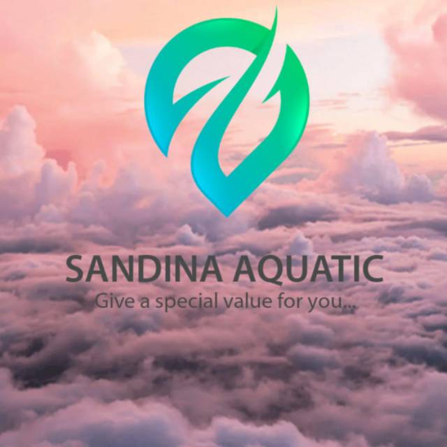 Produk SANDINA OFFICIAL | Shopee Indonesia
