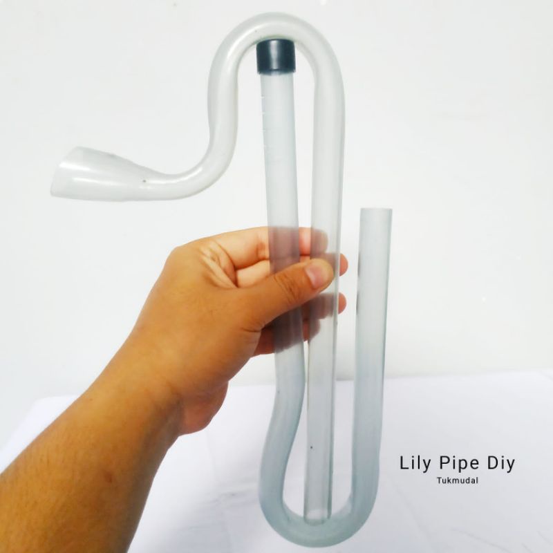 Lily 2024 pipe diy