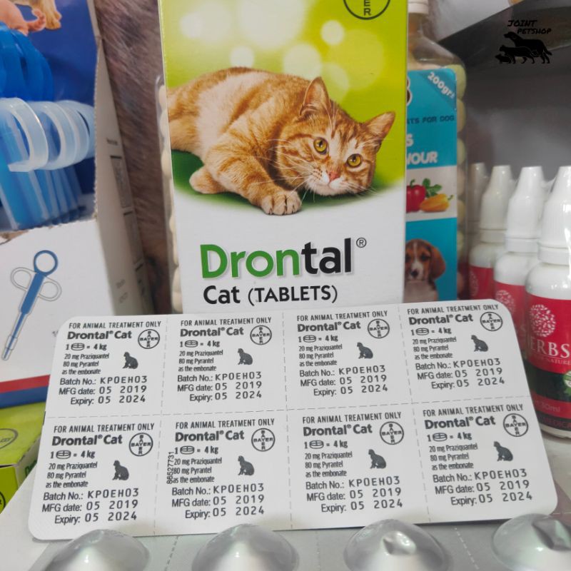 Drontal untuk outlet kitten