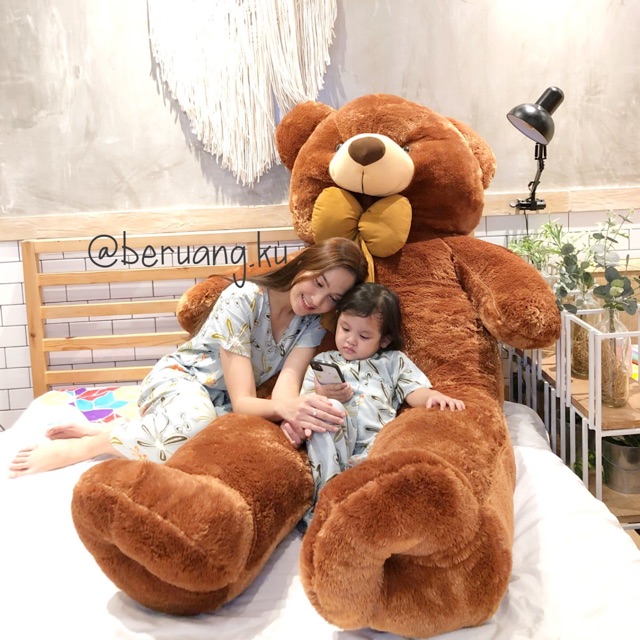 Teddy bear cheap super jumbo