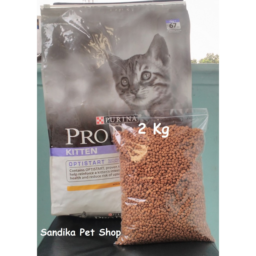 Pro plan kitten harga sale