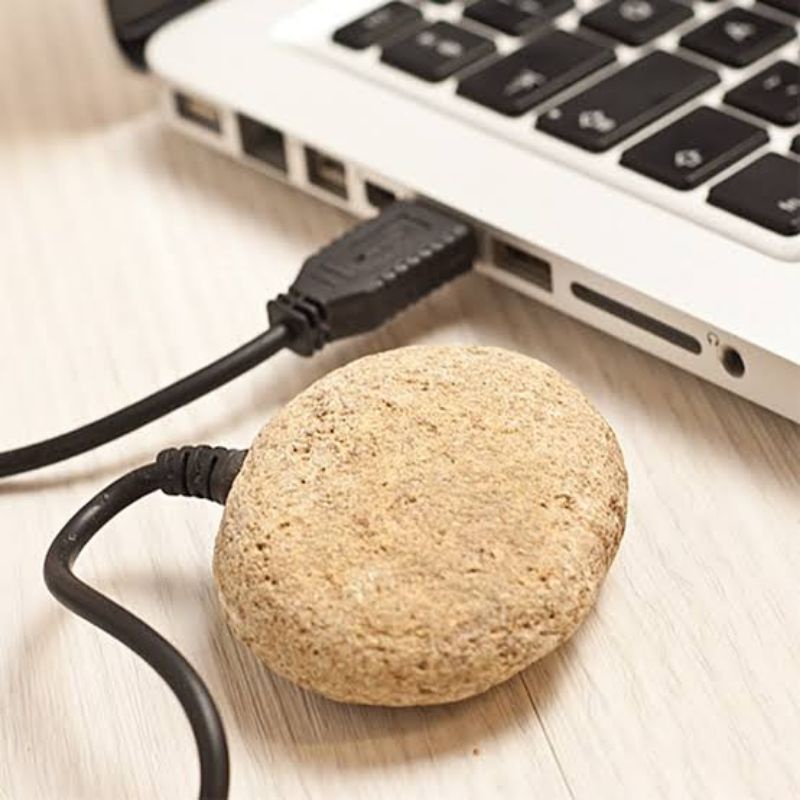 Pet store rock usb