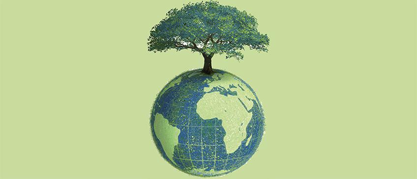 Produk Environment Indonesia | Shopee Indonesia