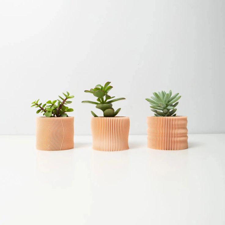 Produk Aozora Store. | Shopee Indonesia