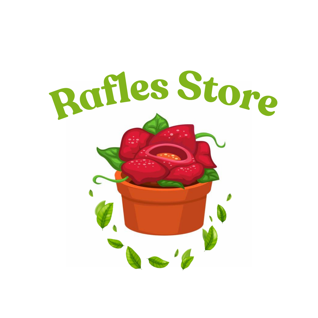 Produk rafles_ store | Shopee Indonesia