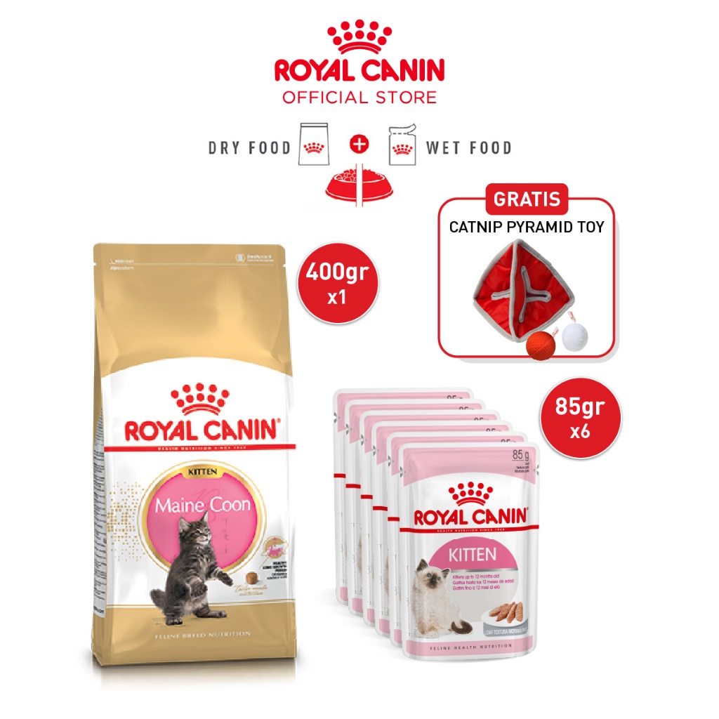 Royal canin maine coon kitten outlet 400g