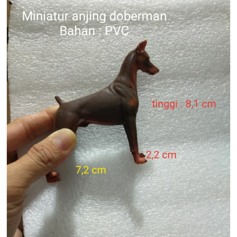 Harga doberman hot sale pinscher