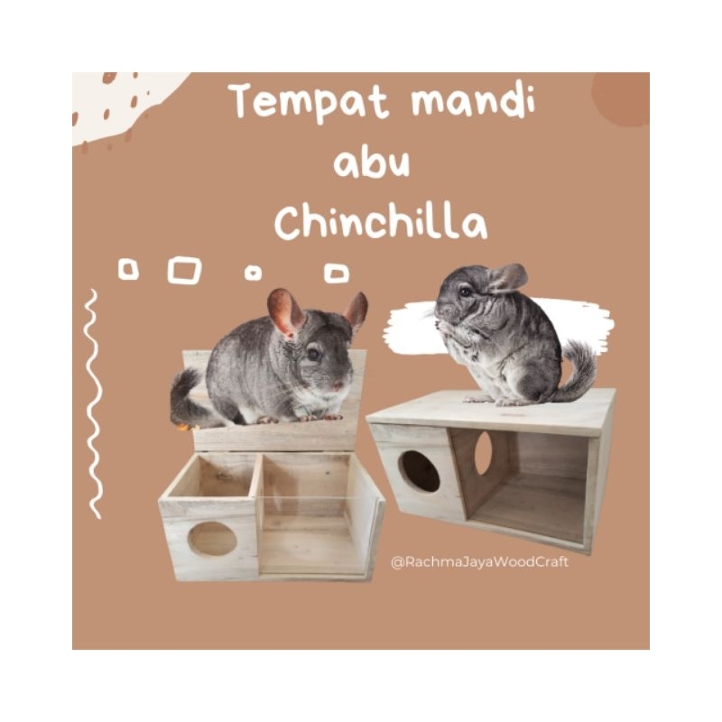 Beli chinchilla 2024