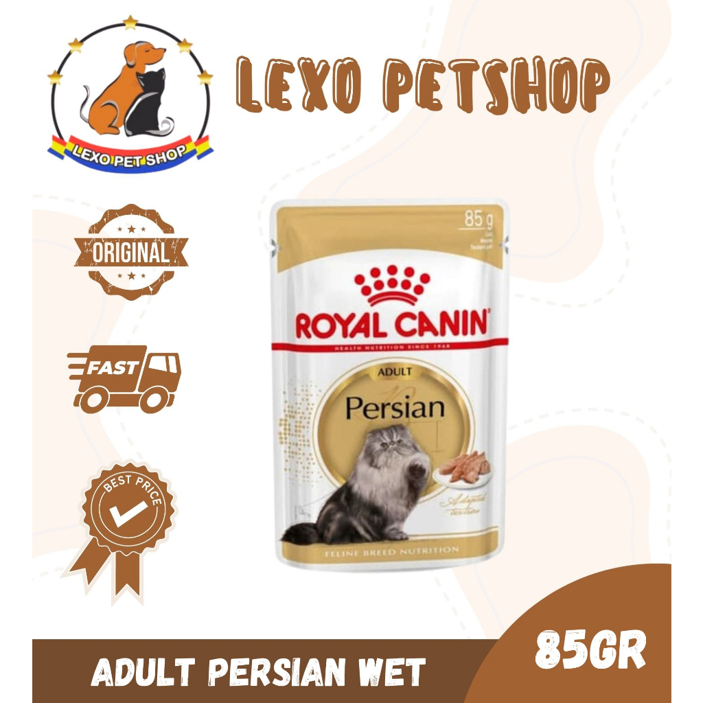 Harga royal cheap canin persian