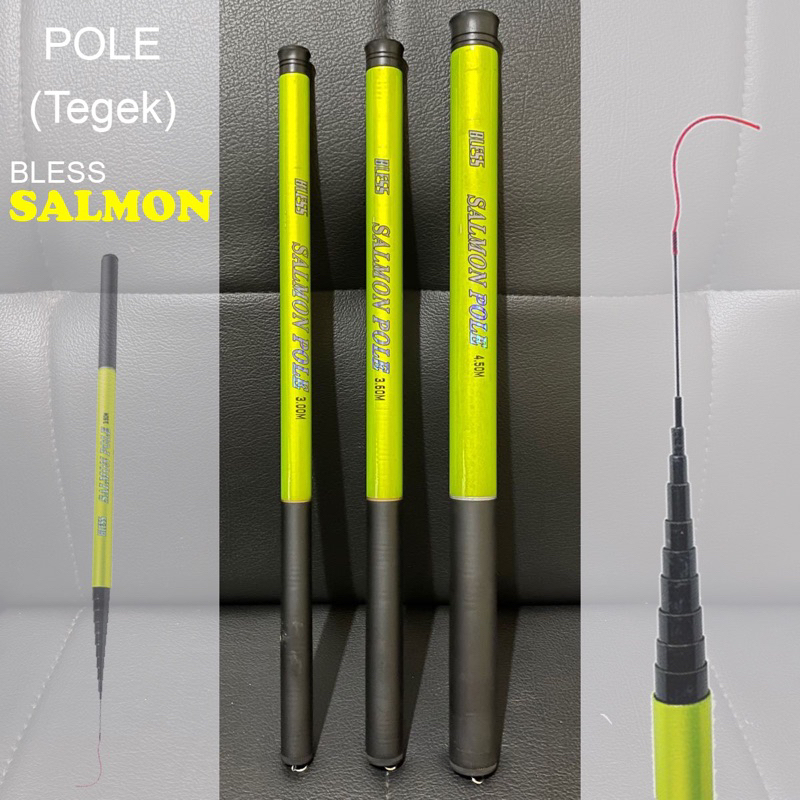 JORAN TEGEK BLESS SALMON POLE - 300