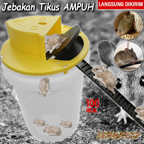 Termurah - Perangkap Jebakan Tikus Masal Rolling Log Mouse Trap