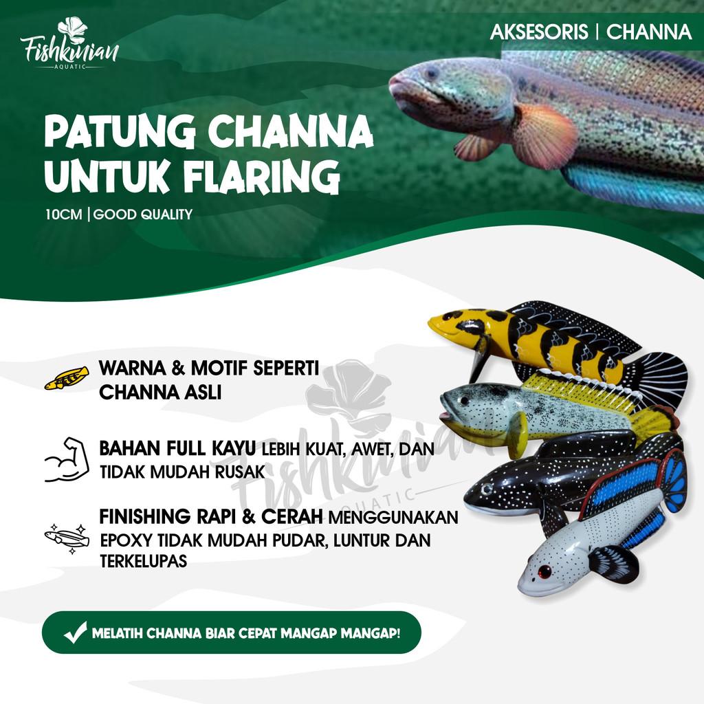 Produk FISHKINIAN | Shopee Indonesia