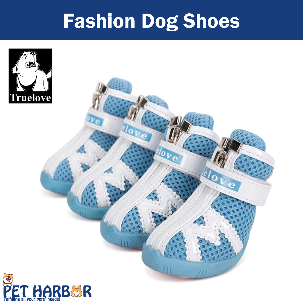 Fashion clearance dog shoes