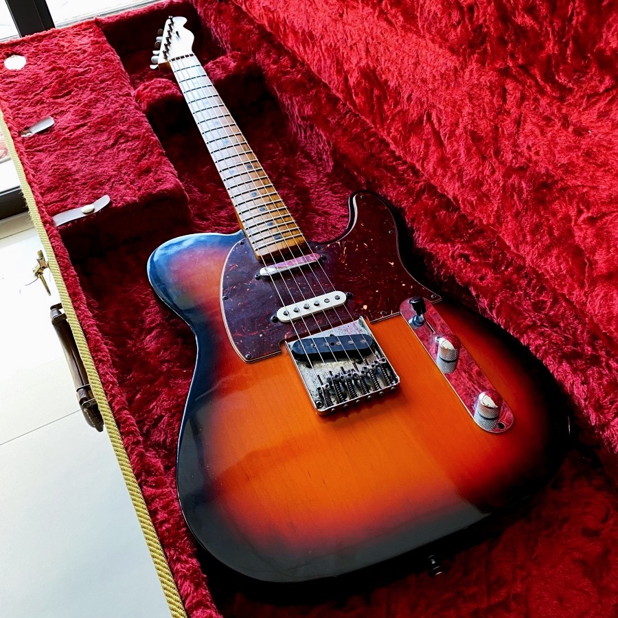 Bloom/TelecasterType トップローディング仕様ソフトケース付