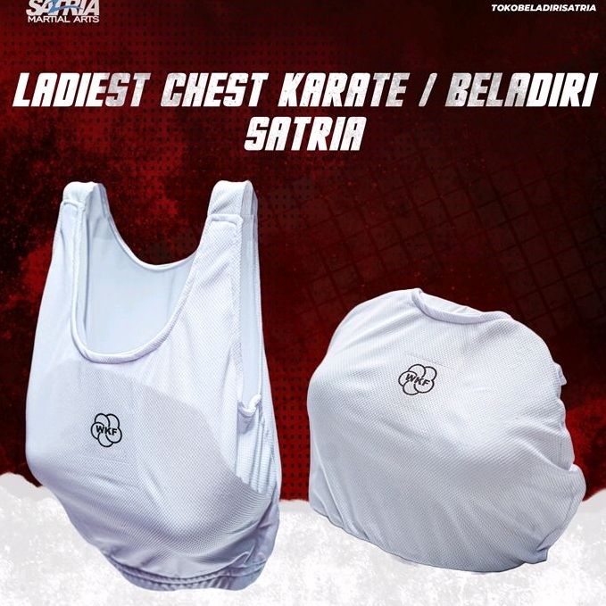Karate female chest protector