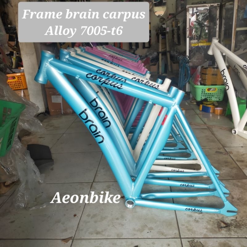 Brain fixie hot sale