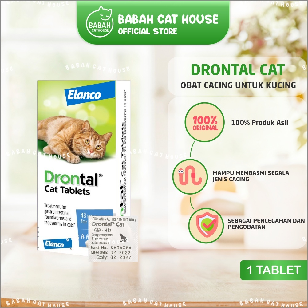 Drontal store untuk kitten