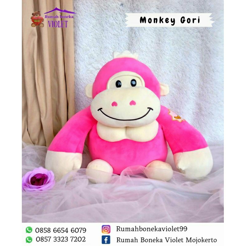 Monkey's Recommendations – Monkey_Gori