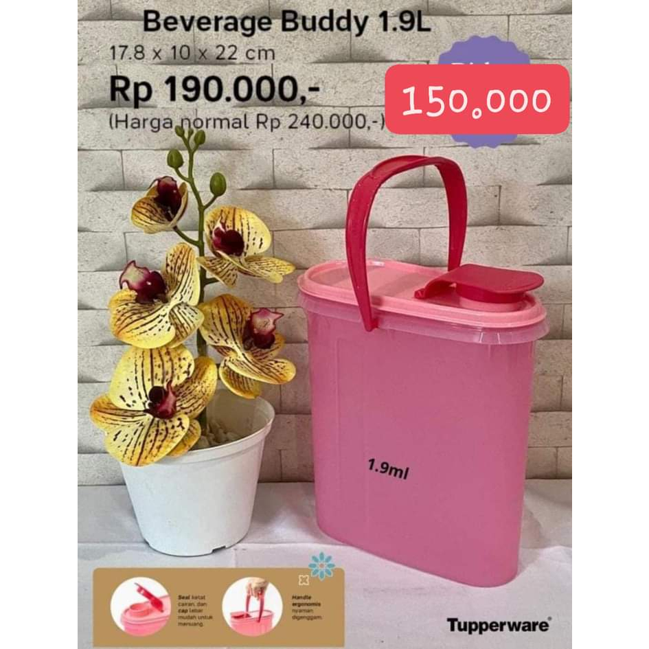 Tupperware Beverage Buddy (1)