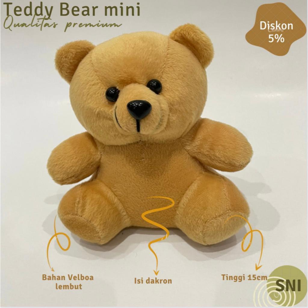 Jual MURAH Boneka teddy bear mini boneka bucket boneka wisuda boneka  beruang | Shopee Indonesia