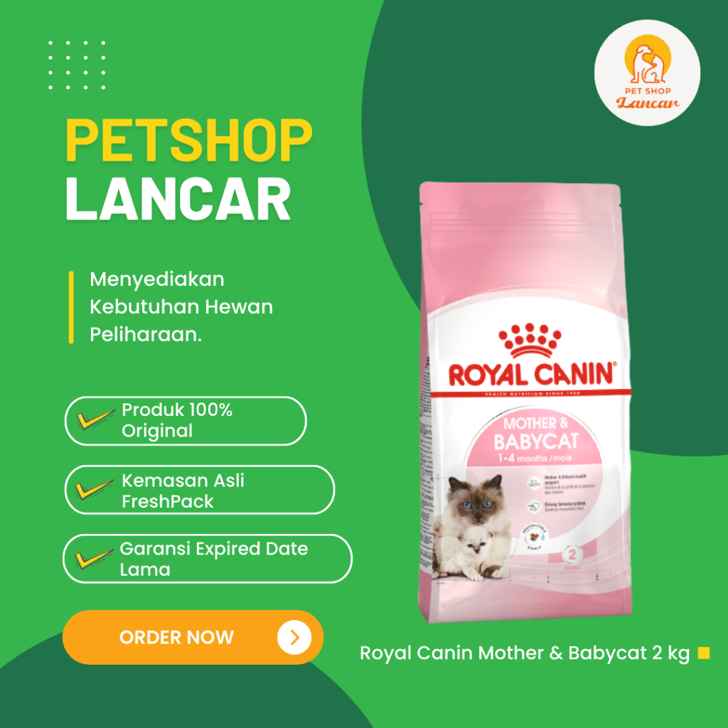 Royal canin 2024 baby cat 2kg