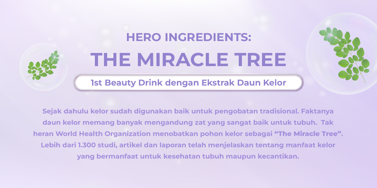 Toko Online Elora Beauty Official Store Shopee Indonesia