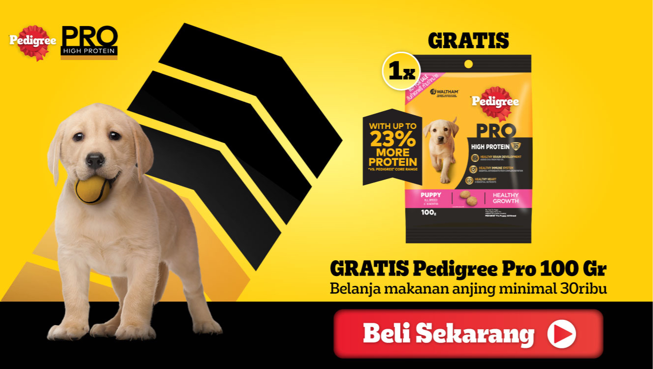 Produk Pet Shop Semarang Shopee Indonesia