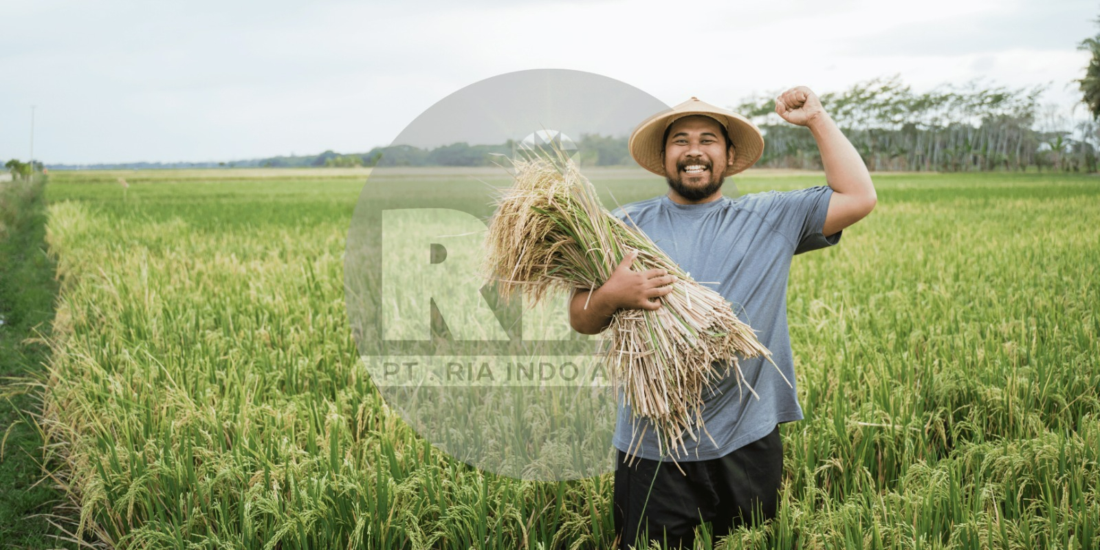 Produk RIA OFFICIAL STORE | Shopee Indonesia