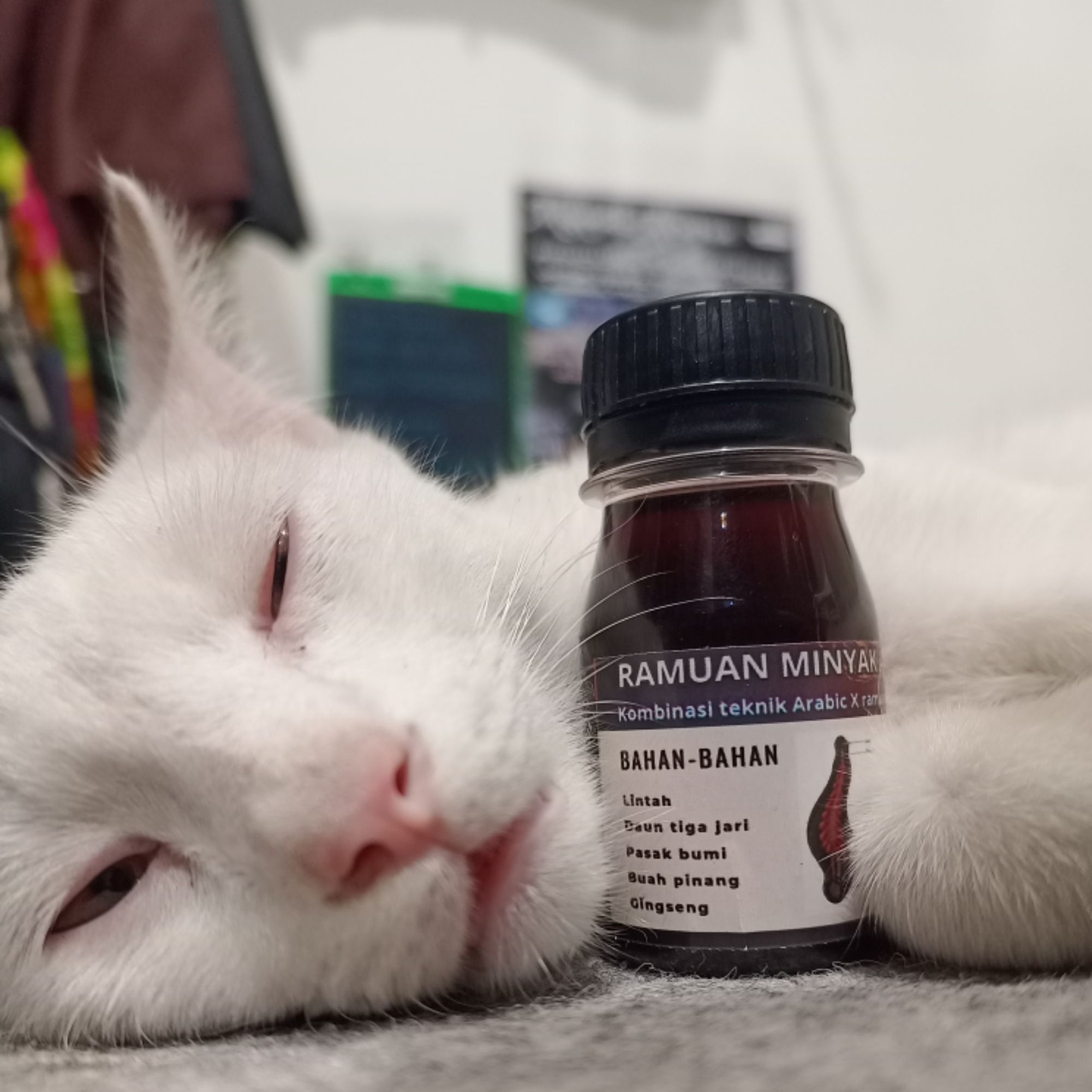 Produk ARAPUA Shopee Indonesia