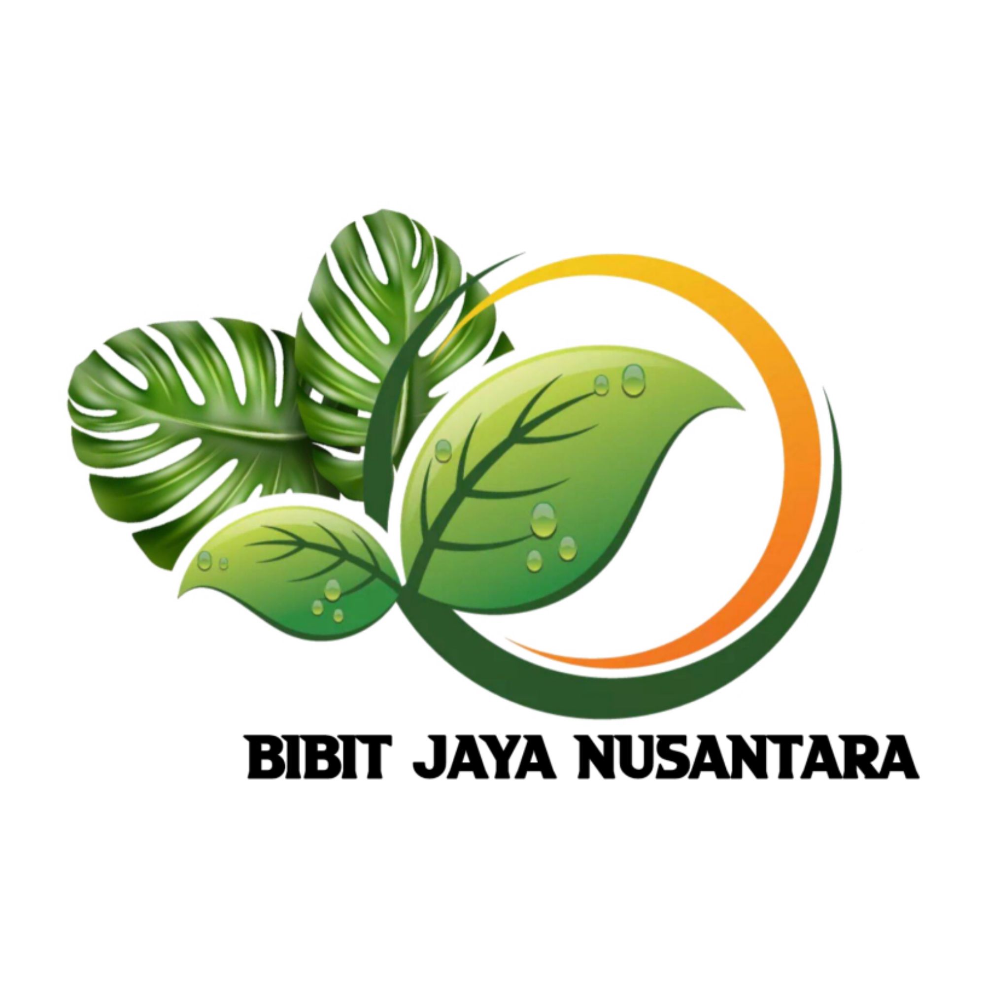 Produk Bibit Jaya Nusantara | Shopee Indonesia