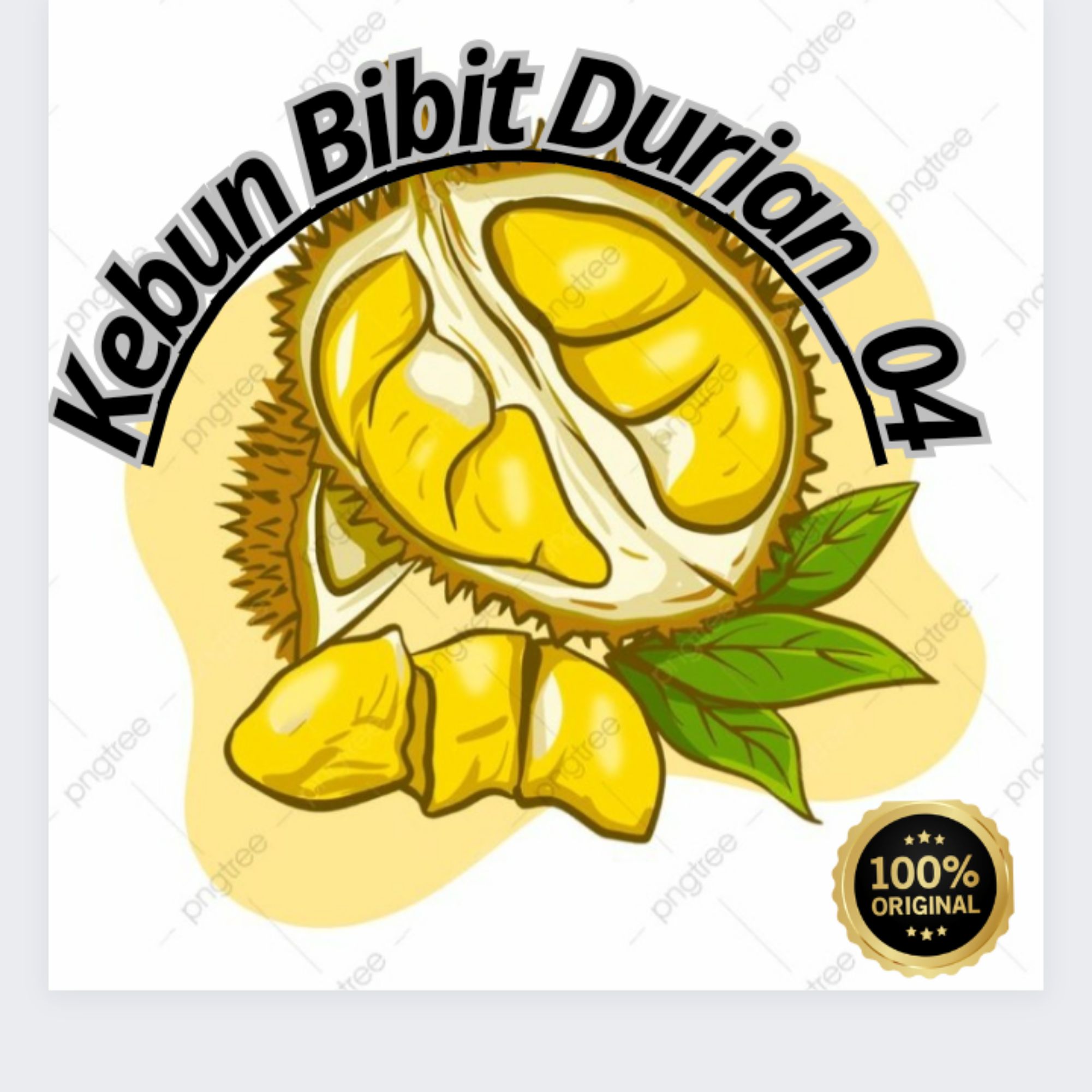 Produk Kebun Bibit Durian_04 | Shopee Indonesia