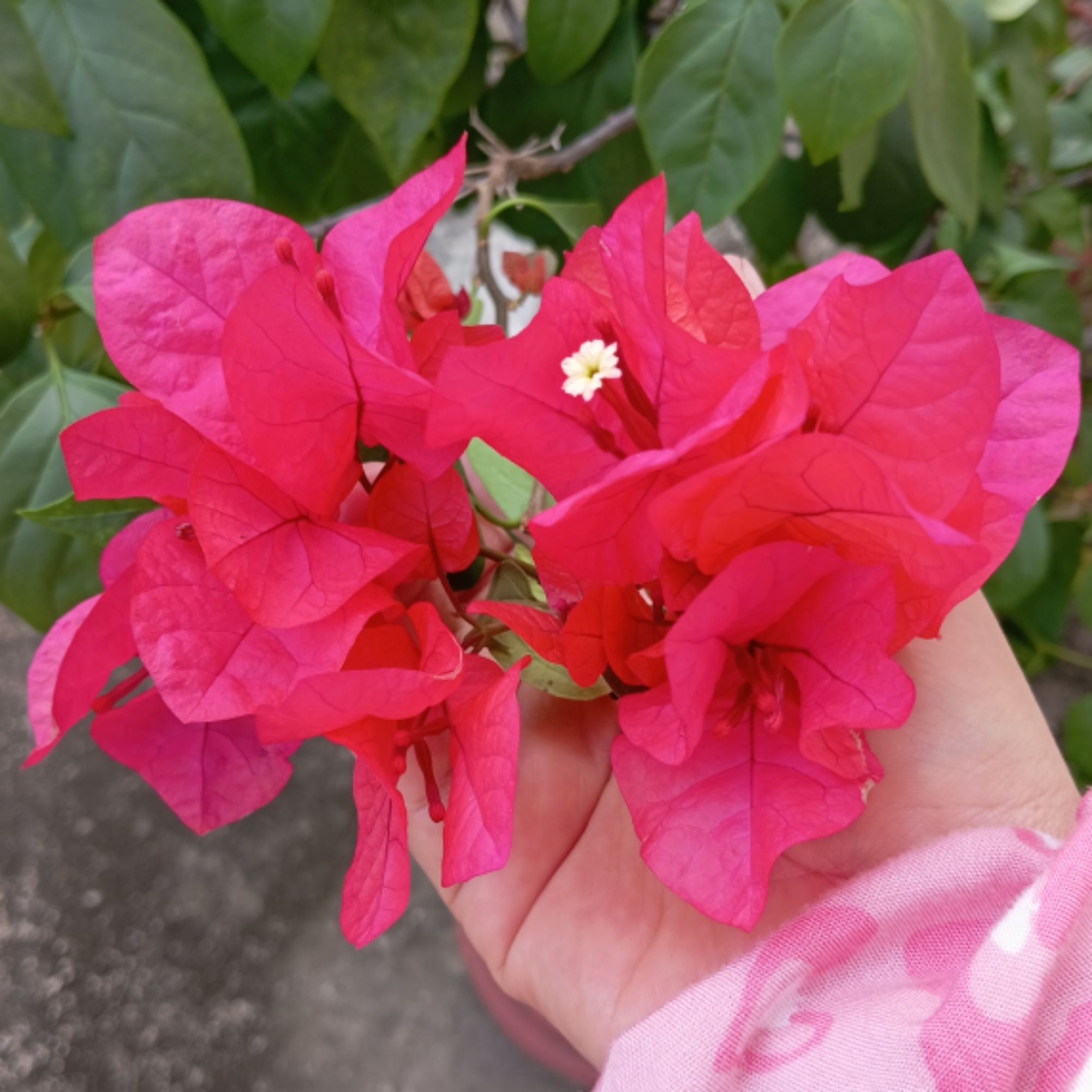 Produk Gallery Baby Raja | Shopee Indonesia