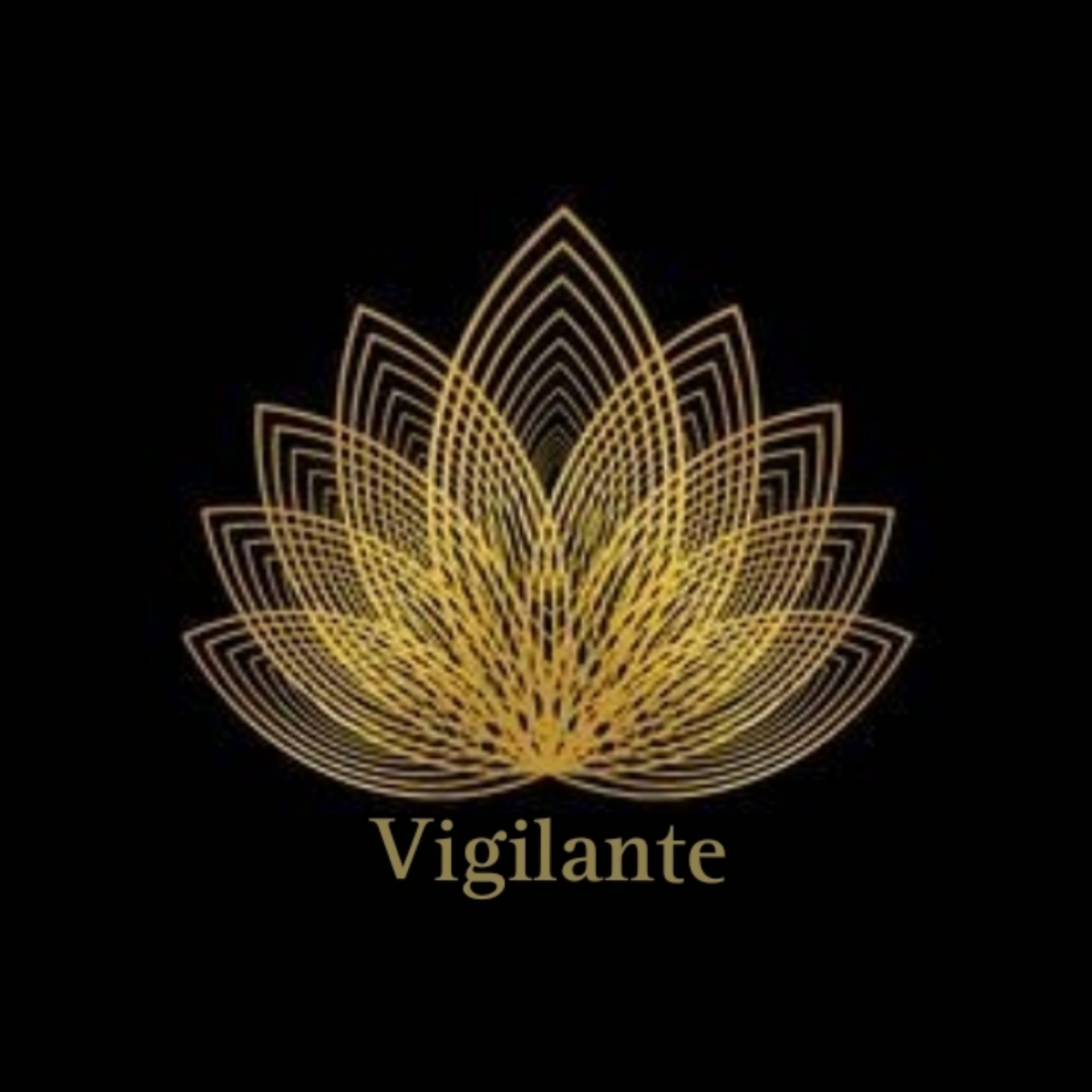Produk vigilante comp Shopee Indonesia