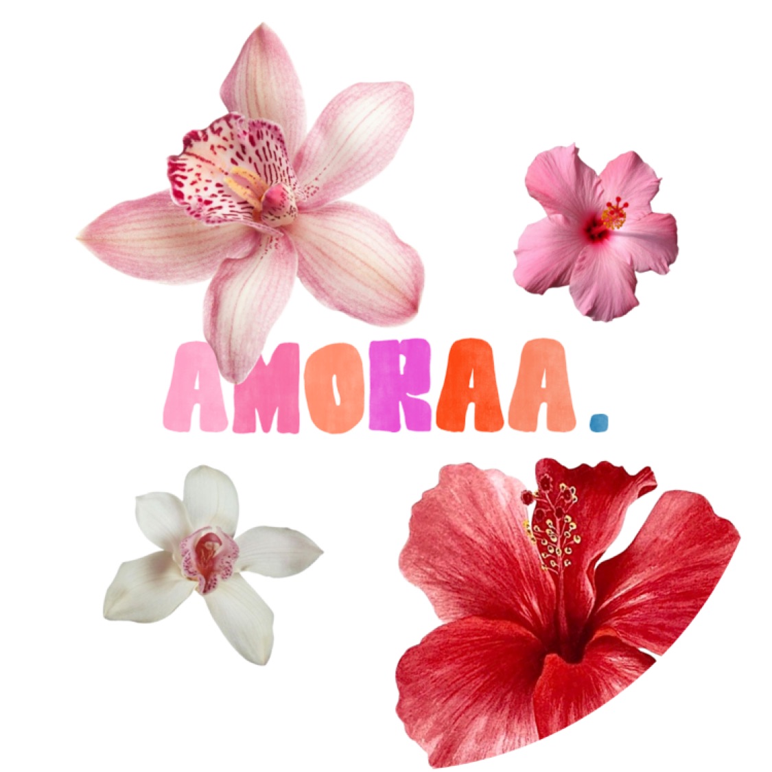 Produk Amoraa. | Shopee Indonesia