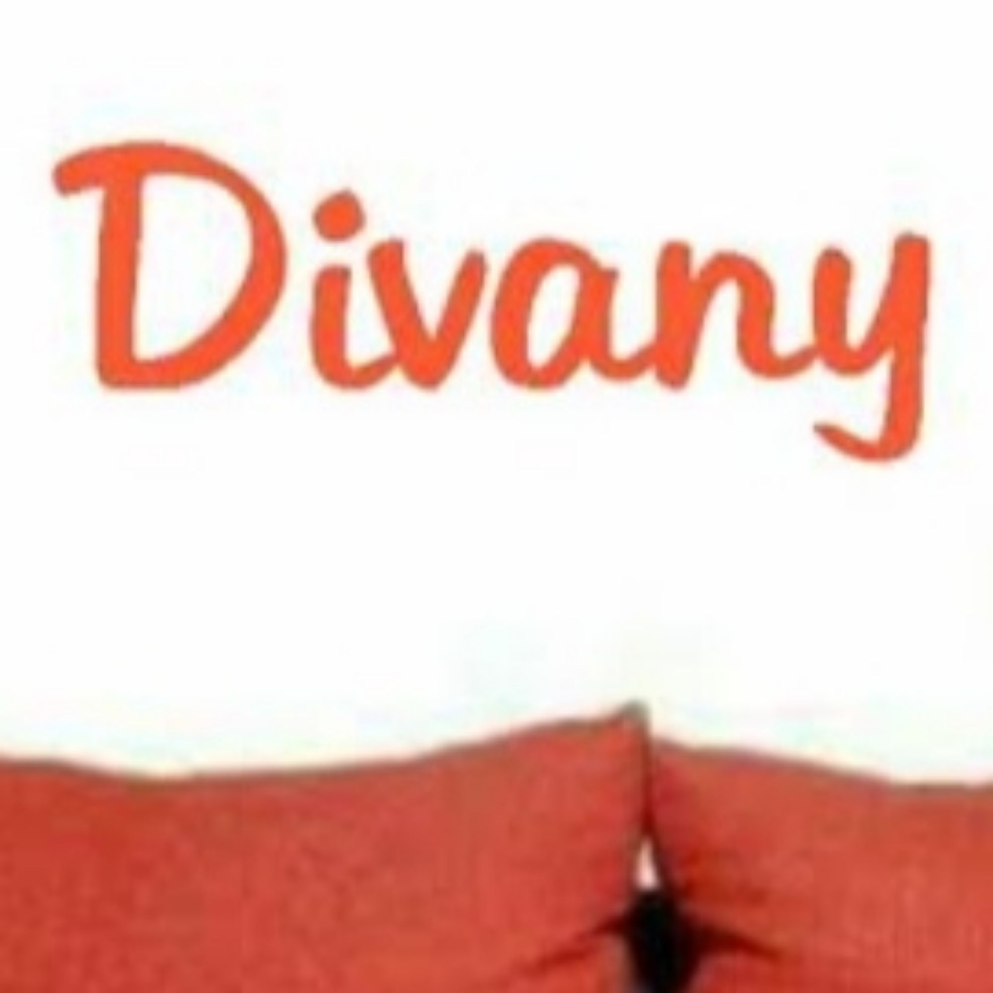 Produk Divany store | Shopee Indonesia