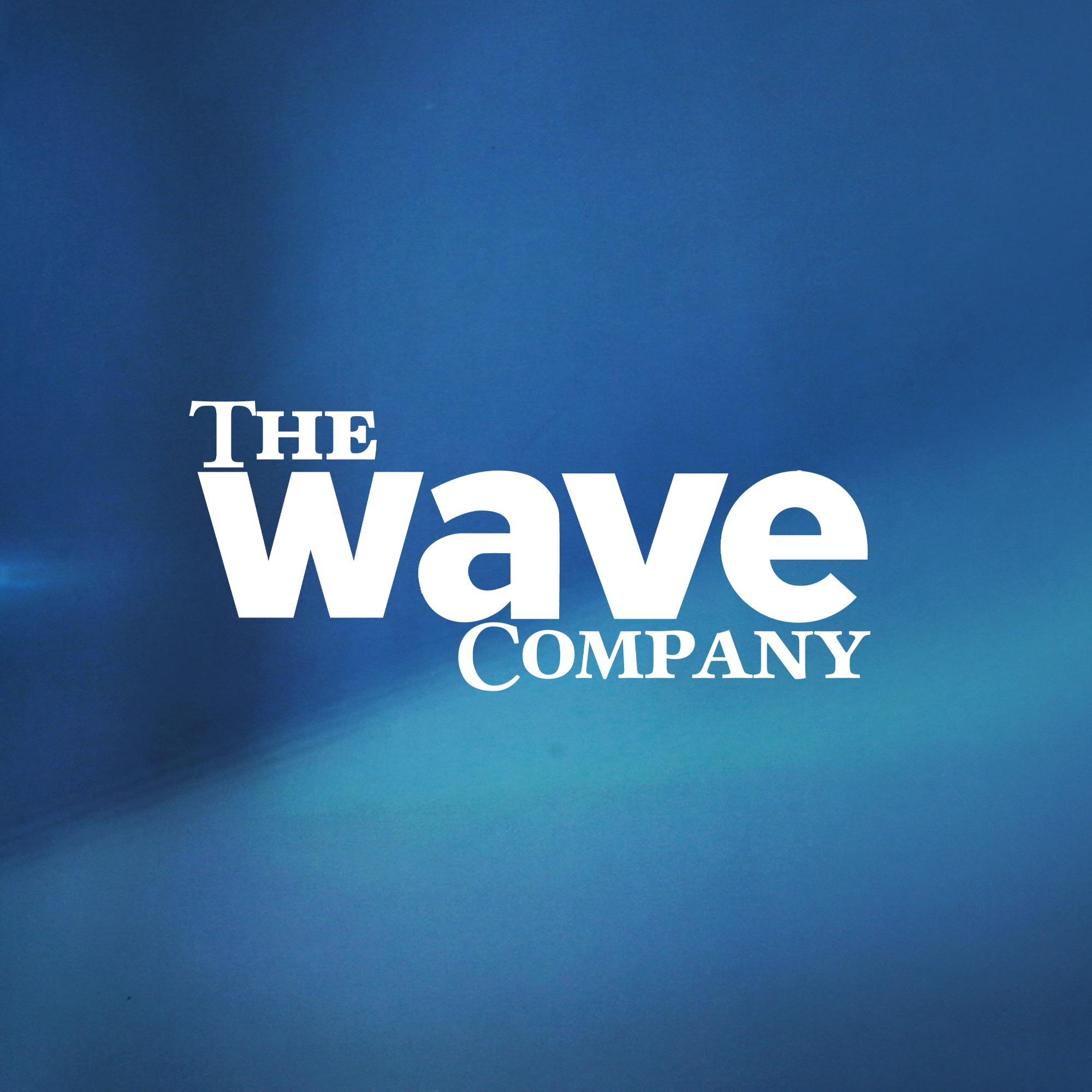 Toko Online The Wave Company Official Shop | Shopee Indonesia