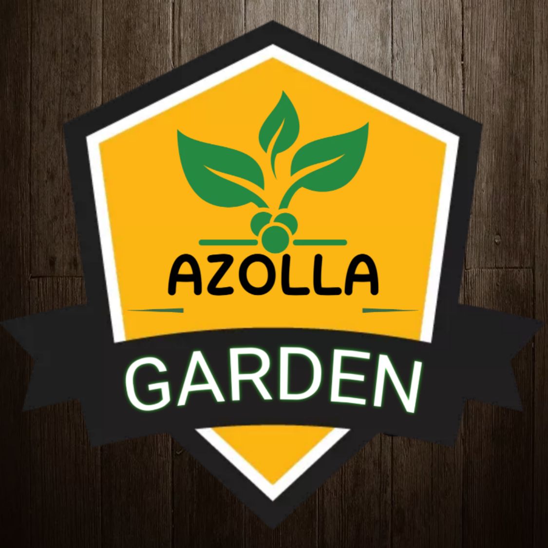 Produk AZOLLA GARDEN | Shopee Indonesia