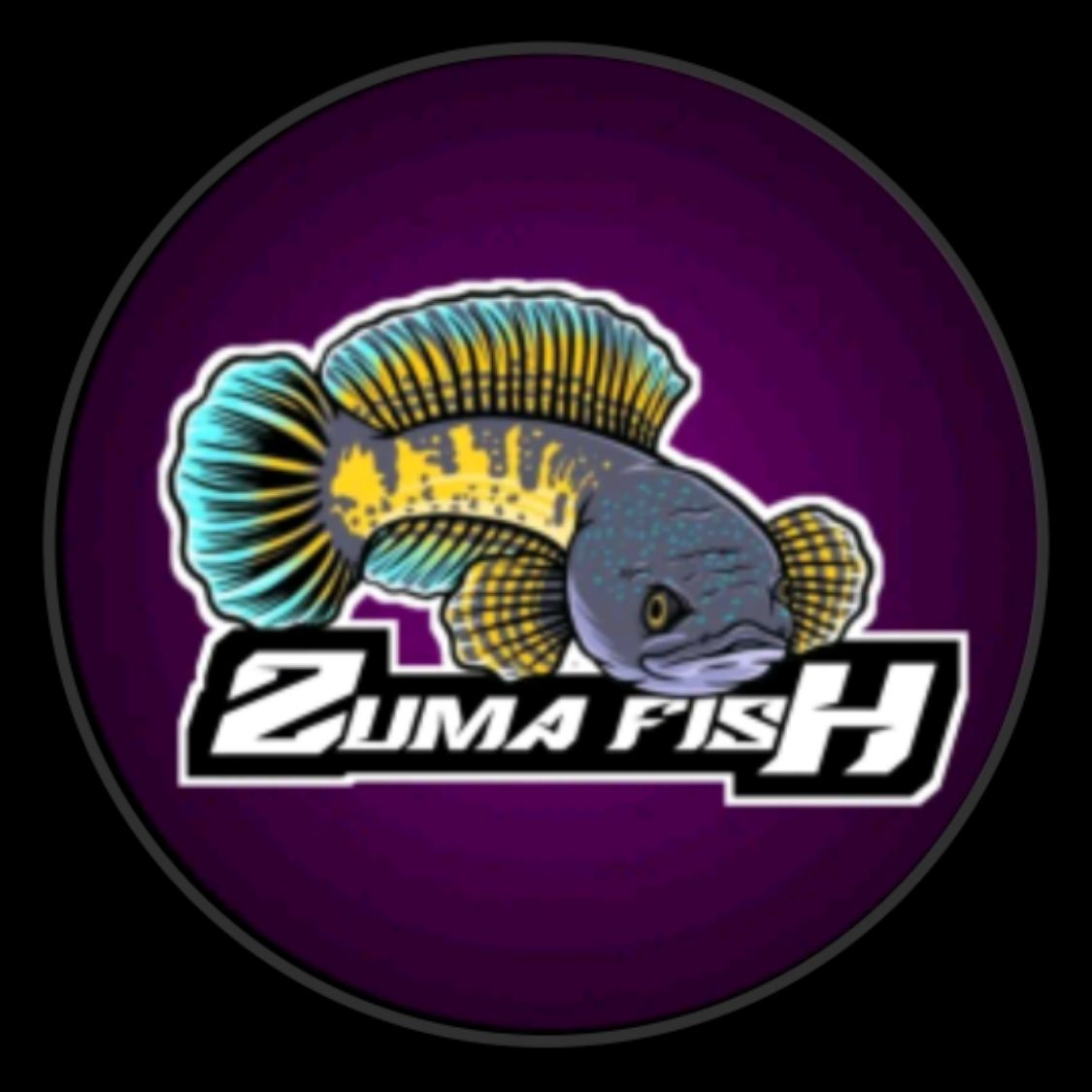 Produk ZUMA FISH | Shopee Indonesia