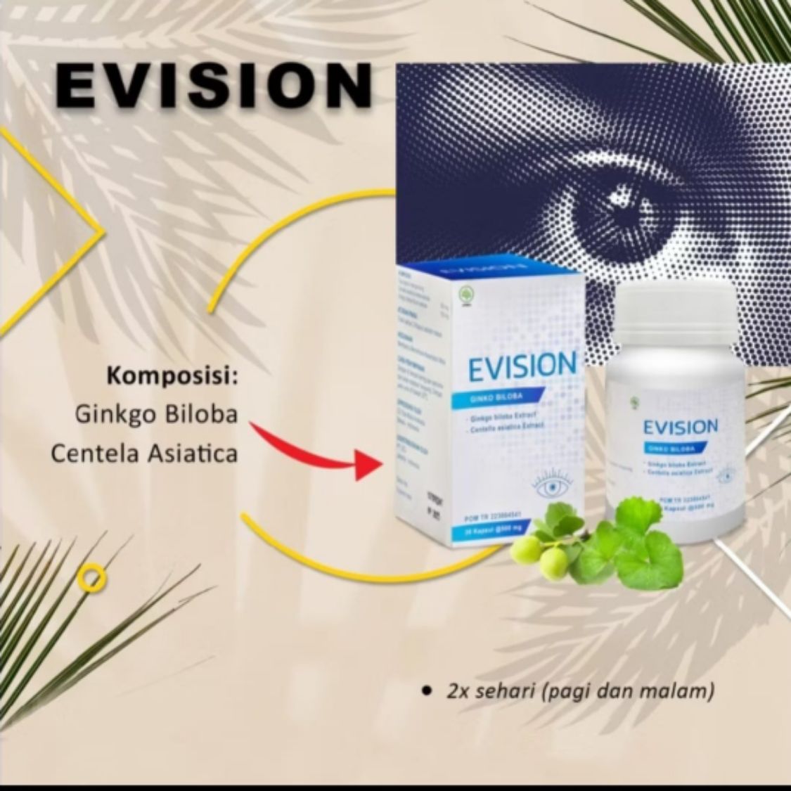 Produk Evision Obat Mata | Shopee Indonesia