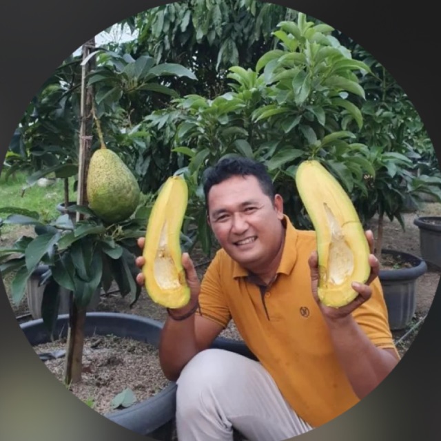 Produk Kebun Desa Wisata Jambu Kediri Shopee Indonesia