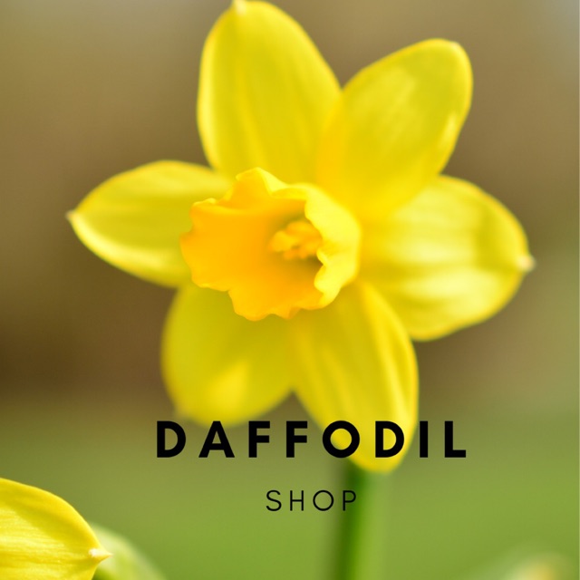 Produk Daffodil Shop By Uci Shopee Indonesia