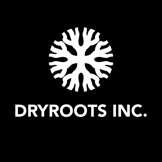 Toko Online DryRoots Official Store | Shopee Indonesia