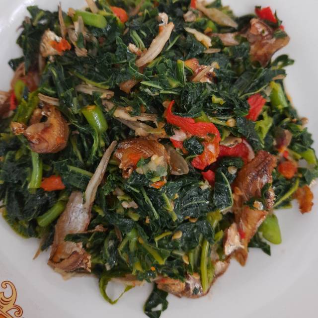 Produk Zimba shop Shopee Indonesia