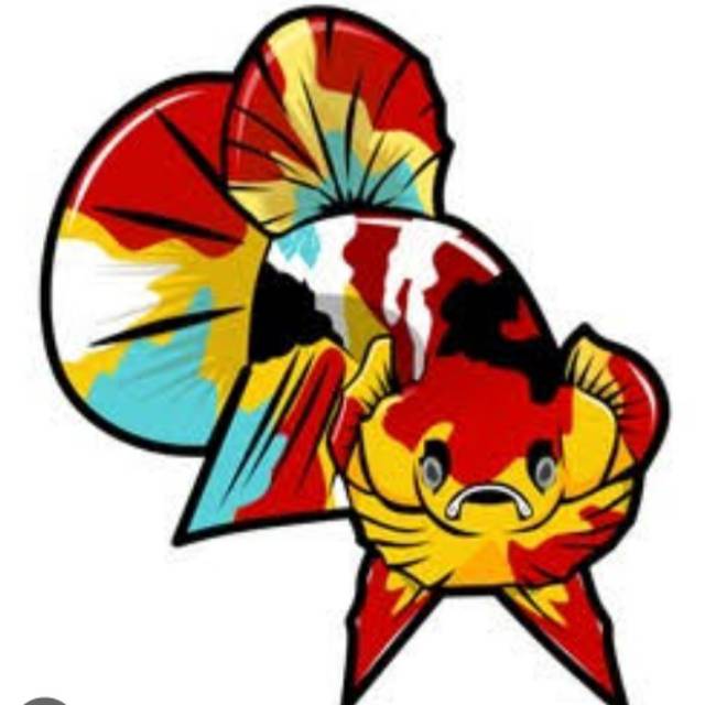 Produk Rahul Betta Fish | Shopee Indonesia