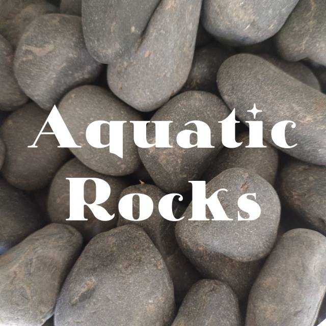 View of Produk aquatic.rocks | Shopee Indonesia